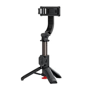 ACEFAST E43 Selfie Stick With Automatic Tripod -Black